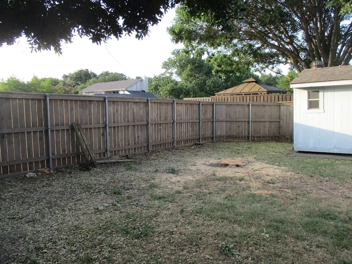 Cleared yard after professional tree removal in Glennallen